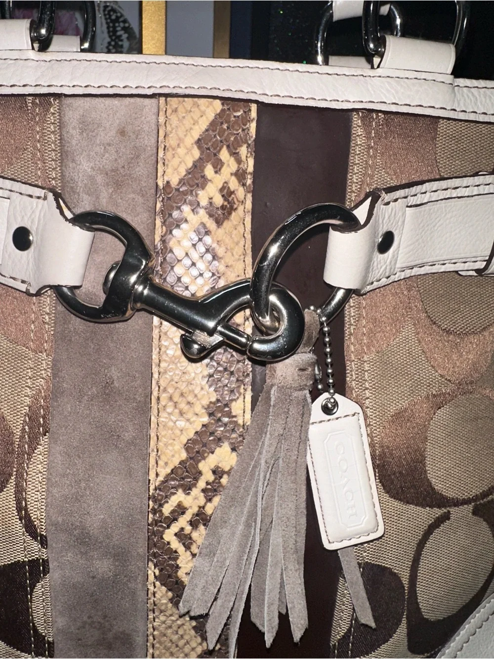 Coach Hamptons Signature Patchwork Python Stripe Tote (2006)